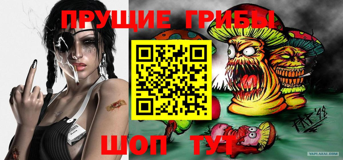Галлюциногенные грибы мицелий  Галлюциногенные грибы Psilocybine cubensis  Вход с VPN  Тюмень 